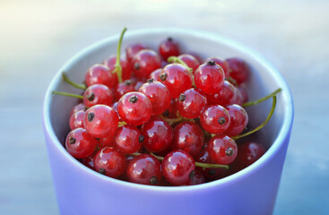 red currants in a bowl