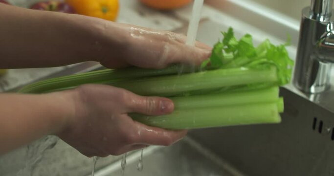 Female hands are washing celery stems by stream of water. Close up