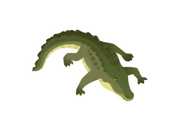Green crocodile character big carnivore reptile cartoon animal design flat vector illustration isolated on white background