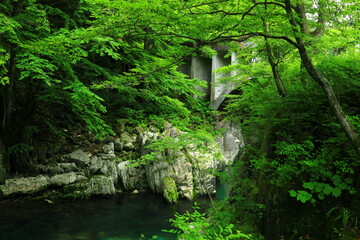 岩手県住田町　夏の葉山のめがね橋