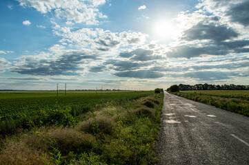 Asphalt road going into the distance, blue sky with clouds and sun