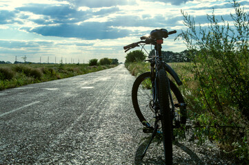 Fototapeta premium Mountain bike on the asphalt road, cycling, road and bike on the background of the sun