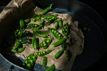 Fresh green pea pods on brown paper in metal tray.