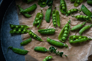 Fresh green pea pods on brown paper in metal tray.