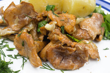 Stewed chanterelles in white sauce with boiled potatoes.