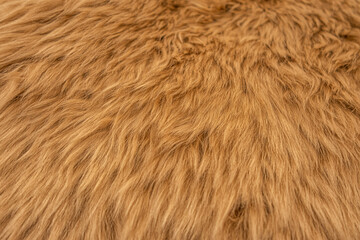 abstract background of an elegant warm ginger fur close up
