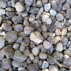 Background with pebbles. Sea stone  background texture.