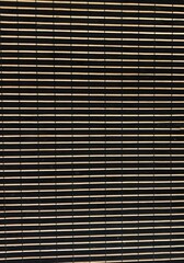 Bamboo Pattern with Black Stripes