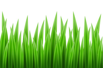 Obraz premium Seamless border pattern of bright green grass