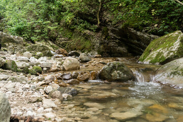 River deep in mountain forest. Nature composition. Close-up view. Long exposure shot