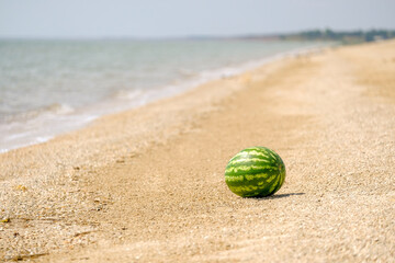 The striped green fruit of a ripe sweet watermelon on the sea sand by the water. Sunny hot summer day. Rest on the Sea. Copy space.