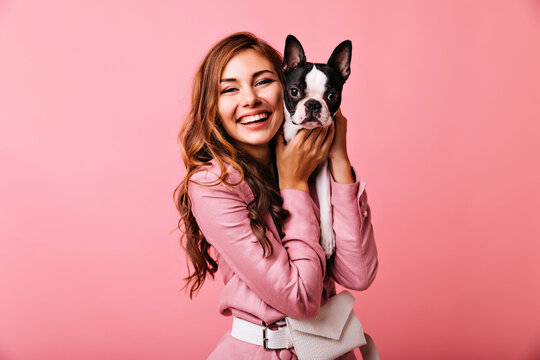 Laughing gorgeous woman holding her puppy. Studio photo of ginger cute girl posing on pink background with french bulldog.