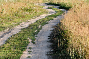 Fototapeta na wymiar dirt road outside the city in fields and meadows. Sunny summer day in countryside. Landscape and nature photography. Selective focus.
