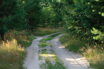 dirt country road outside the city in fields and meadows. Sunny summer day in countryside. Landscape and nature photography. Inaccessible nature. Selective focus.