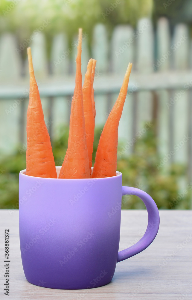 Wall mural bouquet of young carrots in a purple mug