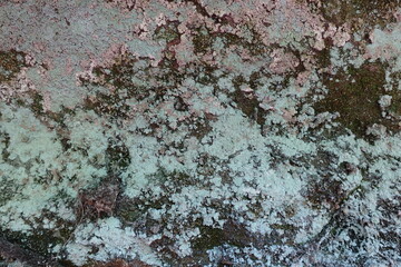 Moss covered red rocks