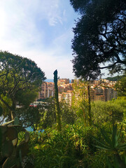 Fototapeta na wymiar View of the Bay of Monte Carlo from the plants