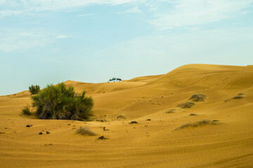 Lanscape of the red desert in Dubai, with yellow dune and blue sky, totally empty and quite.