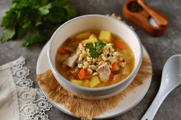 Healthy sprouted mung bean soup with potatoes, carrots, cilantro and turkey breast. Organic food.