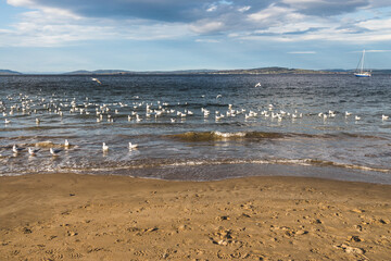 Blackmans Bay beach on a sunny winter day in South Hobart in Tasmania