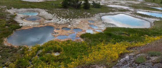 The Painted Pool, West Thumb Geyser Basin, Yellowstone Lake, Yellowstone National Park, Wyoming, USA