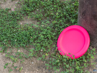 Frisbee placed in the grass of the park
