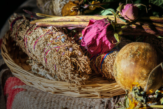 Natural Spanish Healer Plants and Seeds New Mexico USA