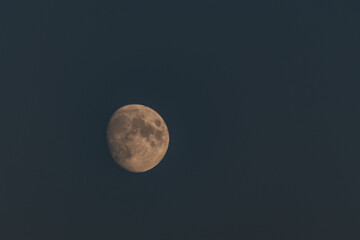 Mond