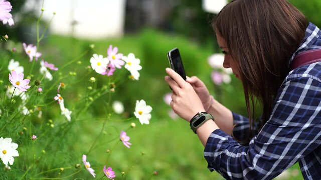Close up of young woman takes pictures on smartphone. Female tourist photographing flowers on mobile phone in park.