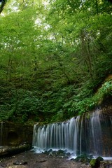 waterfall in the woods