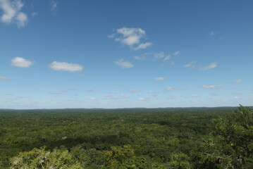 Fototapeta na wymiar Horizonte de la gran selva maya 