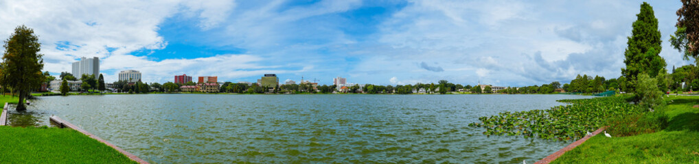 Fototapeta premium Swan in Lake Morton at city center of lakeland Florida