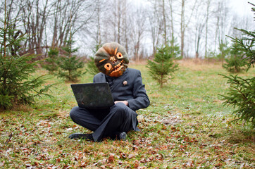Halloween Scarecrow with a carved pumpkin on its head is typing a message on a laptop keyboard
