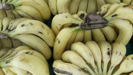 bunch of bananas