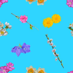 Various cultivated and uncultivated flowers. Seamless pattern.