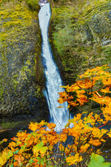 Horsetail falls, Columbia River Gorge National Scenic Area, Oregon