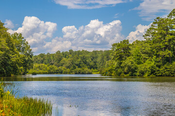 View of a beautiful nature landscape background of a river
