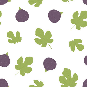 Figs Fruit. Seamless Vector Patterns 