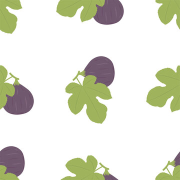 Figs Fruit. Seamless Vector Patterns 