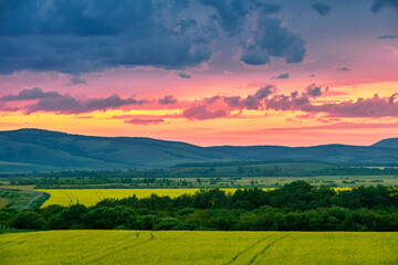 Fototapety na wymiar - Fototapeta24.pl