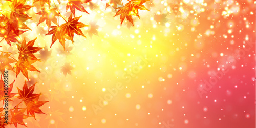 紅葉 もみじ 秋 背景 Wall Mural Wallpaper Murals J Boy 紅葉 もみじ 秋 背景 Wall Mural Wallpaper Murals J Boy