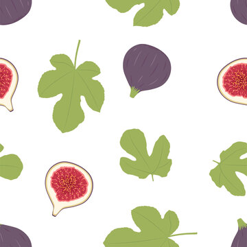 Figs Fruit. Seamless Vector Patterns 