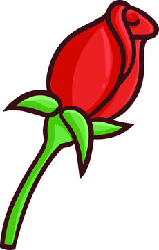 Funny and beautiful red rose going to blooming
