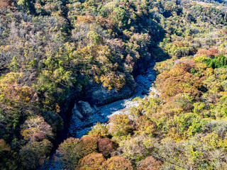 【山梨県 八ヶ岳高原大橋】渓谷にかかる絶景橋