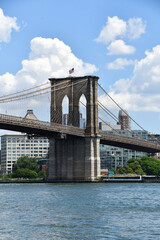 Obraz premium Brooklyn Bridge from Pier 17 in NYC