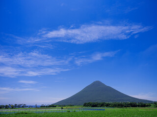 夏の山