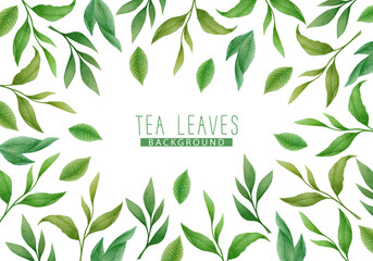 Watercolor Illustration with hand drawn tea leaves and branches isolated on white background. Botanical background design for card, poster, print, packaging