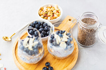 Chia pudding with granola and fresh blueberries in the glasses on a gray concrete background with copy space. Concept of healthy eating, healthy lifestyle, dieting, fitness menu. Selective focus