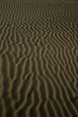 砂の模様