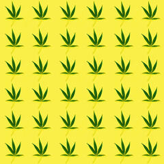 Seamless regular creative pattern with natural green leaves from Cannabis plant.